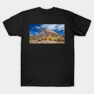 Boat Shed at Oyster Bay T-Shirt